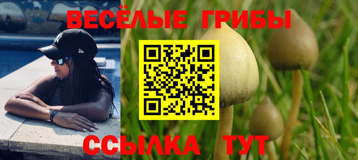 Галлюциногенные грибы GOLDEN TEACHER  Псилоцибиновые грибы Cubensis  закладка  Ленинск-Кузнецкий  Вход с VPN 