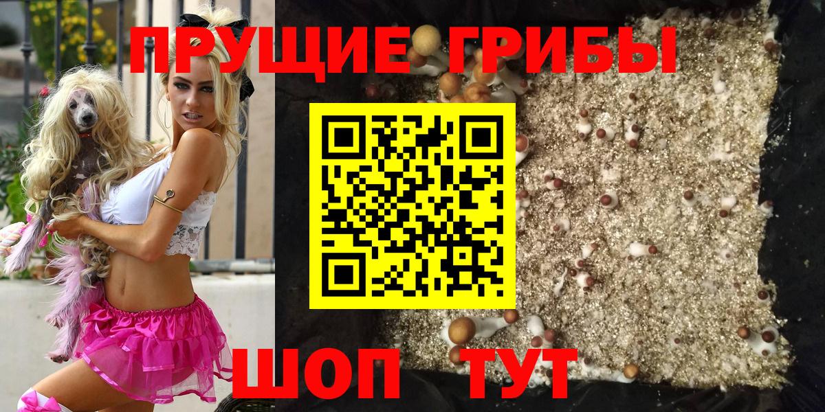 Псилоцибиновые грибы Magic Shrooms Ленинск-Кузнецкий